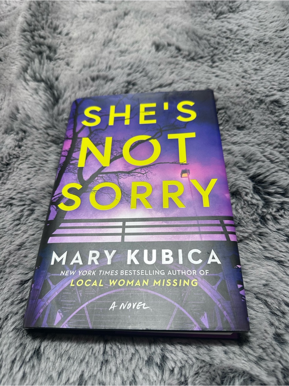 She's Not Sorry by Mary Kubica - Hardcover